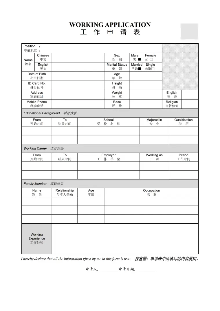 普通简历表格模板 Word 简历模板预览图