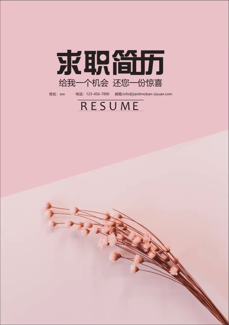 时尚现代花朵求职简历封面模板 Word 简历模板预览图
