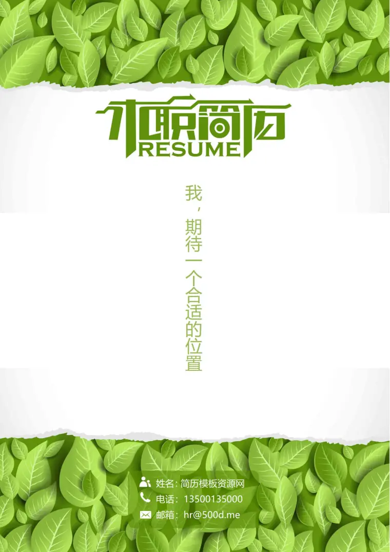 免费黑色简历封面，商务风范十足 Word 简历模板预览图