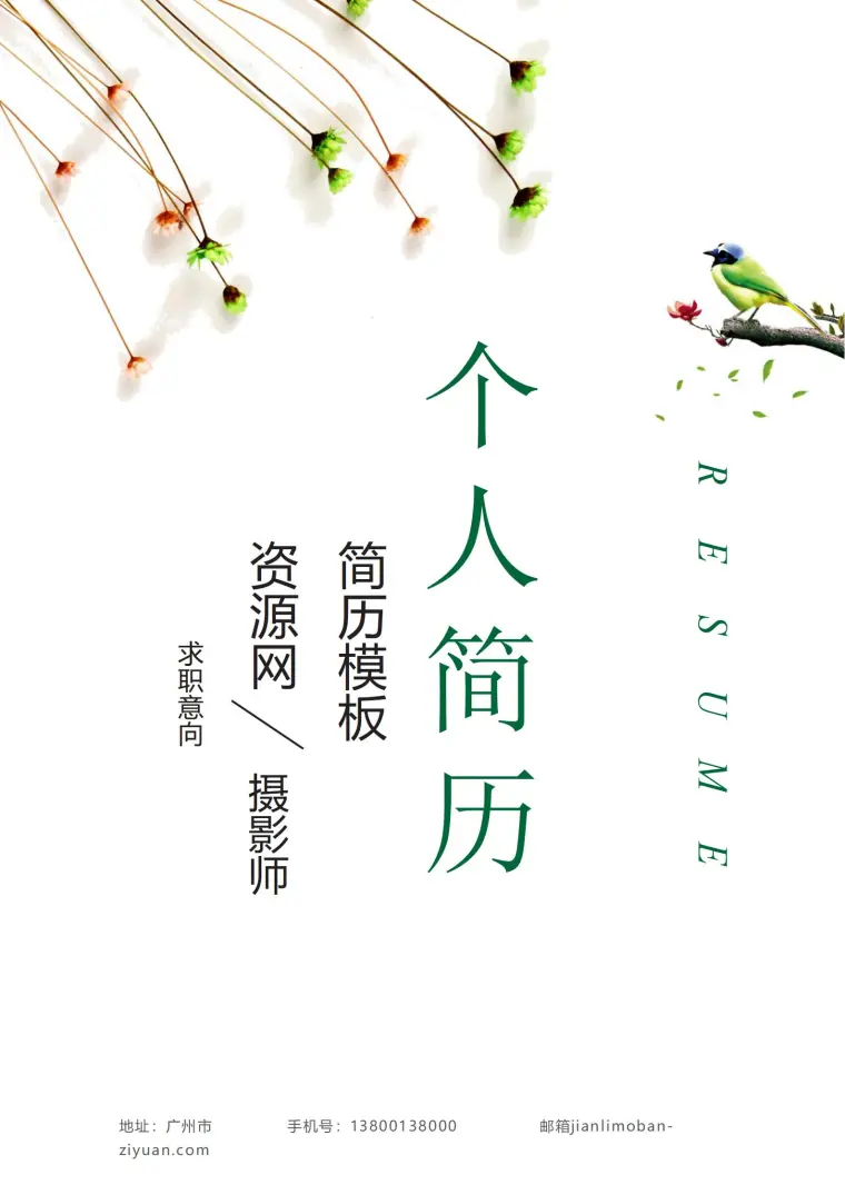 彩色动态简历封面模板集 Word 简历模板预览图