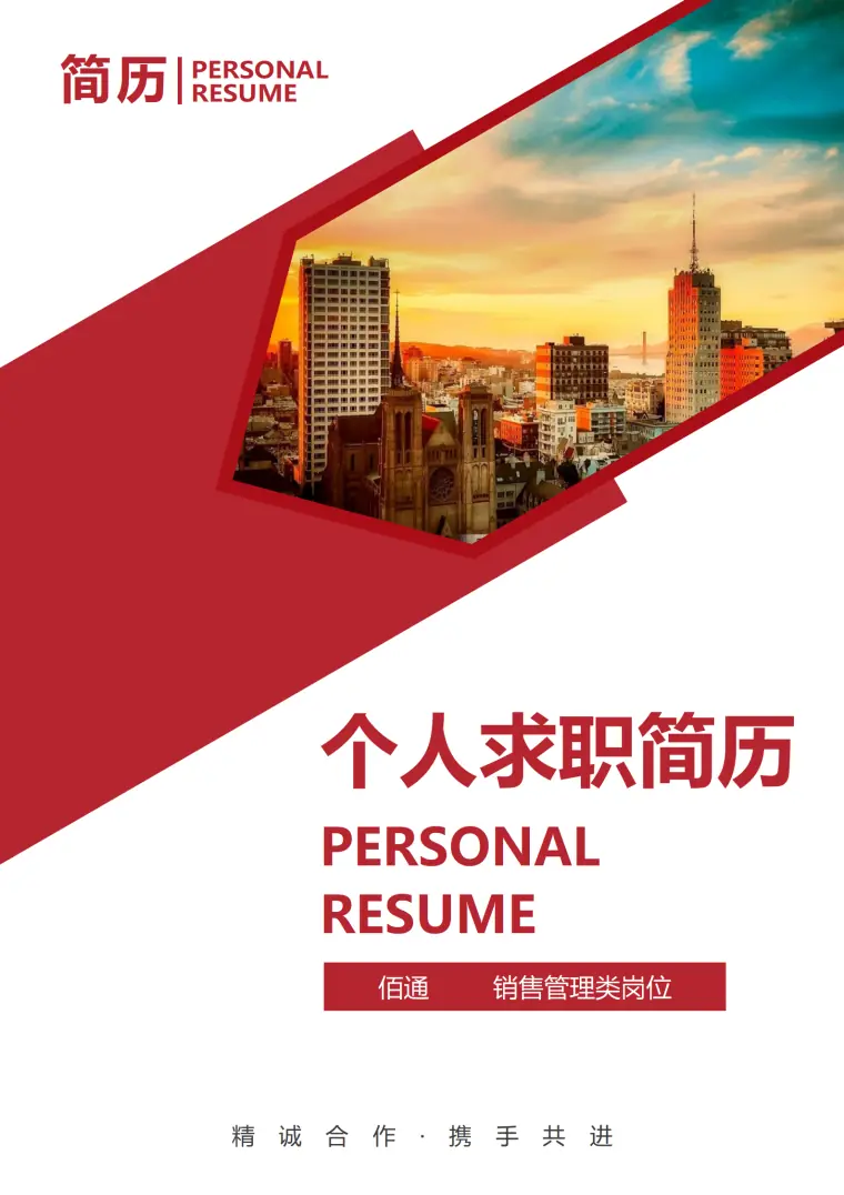 软件销售顾问简历模板 Word 简历模板预览图