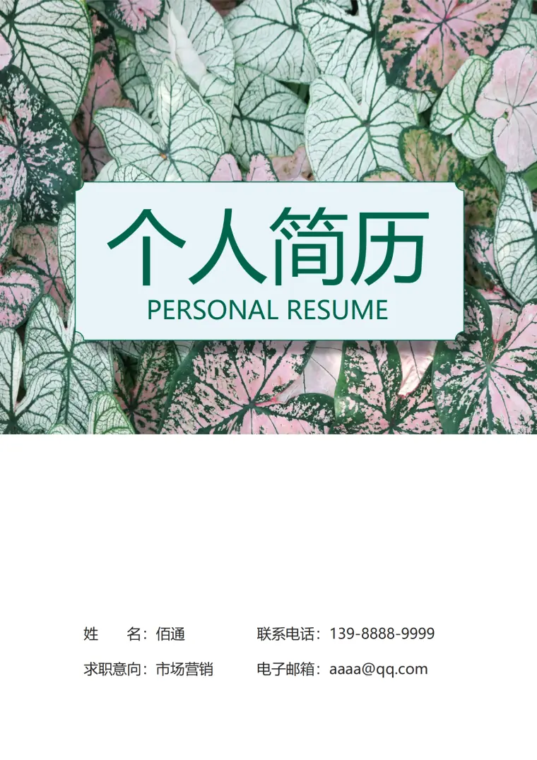 乐器销售助理简历模板 Word 简历模板预览图