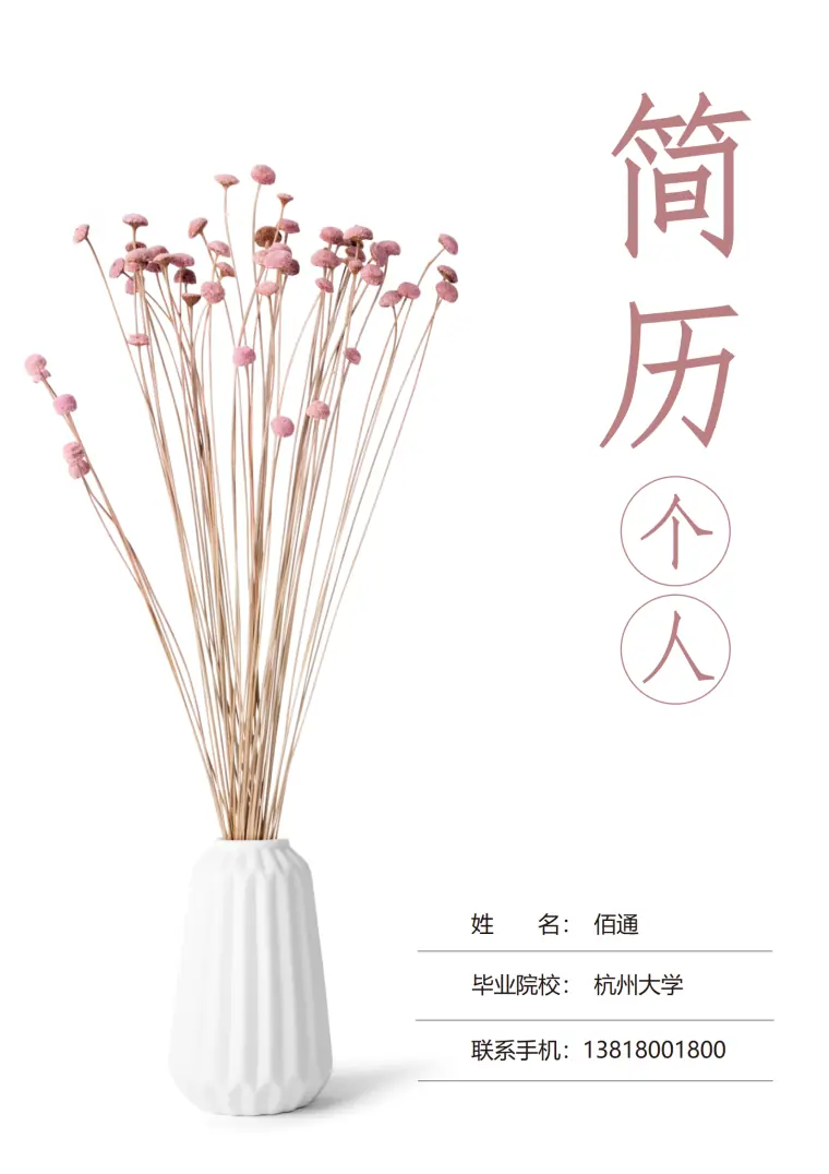 家电销售顾问简历模板 Word 简历模板预览图