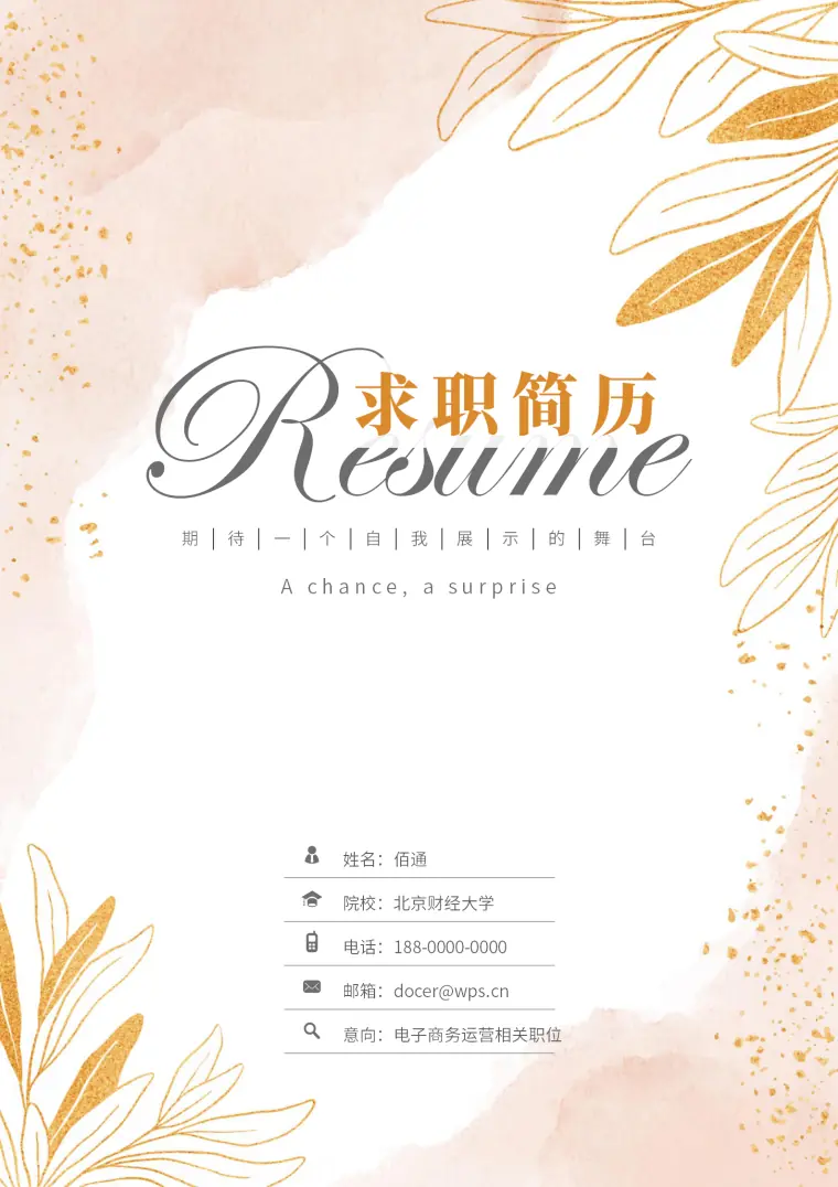 热门免费电商推广简历模板（含封面自荐信） Word 简历模板预览图