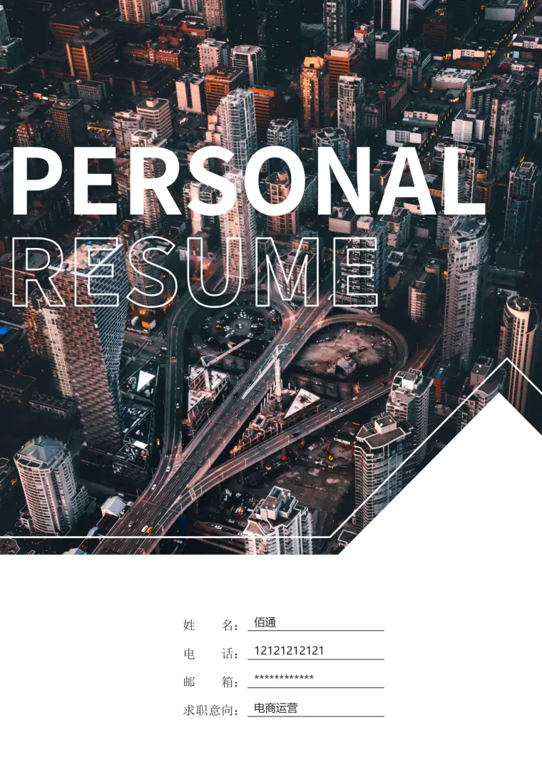 电商仓储物流简历模板免费下载（含封面自荐信） Word 简历模板预览图