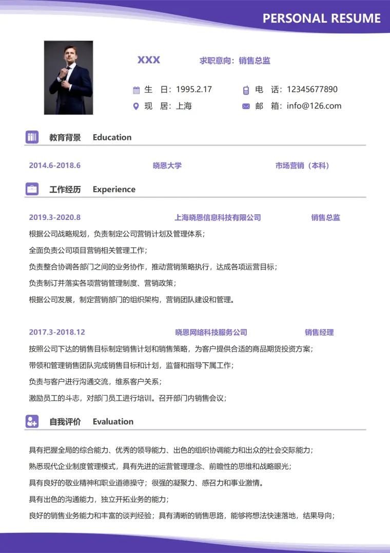 销售总监精英简历模板免费下载 Word 简历模板预览图