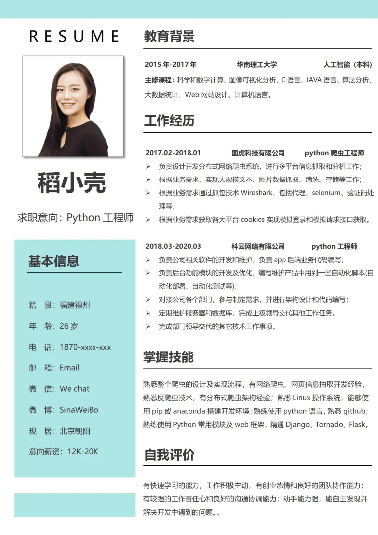 创意风格python工程师简历模板 Word 简历模板预览图