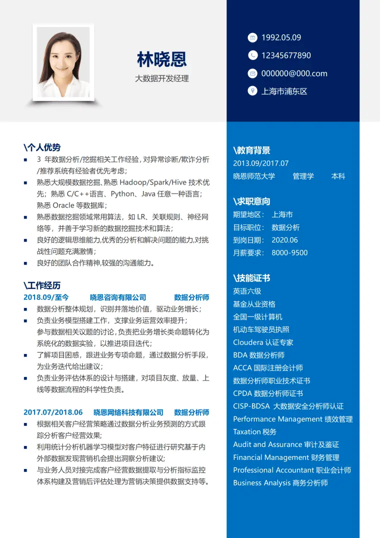 大数据开发简历模板 Word 简历模板预览图