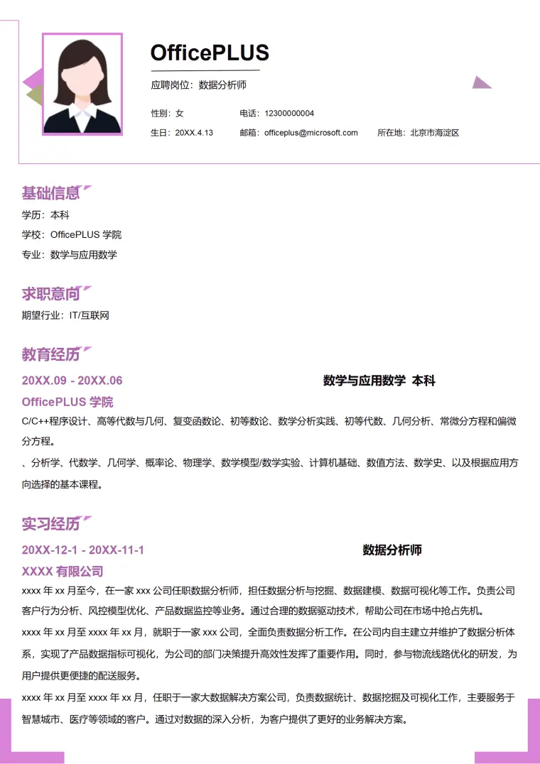 数据可视化简历模板 团队高效执行 Word 简历模板预览图