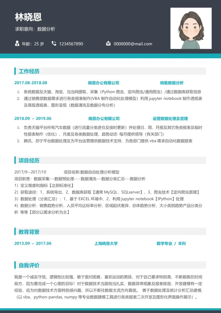 数据分析师简历销售数据处理经验 Word 简历模板预览图