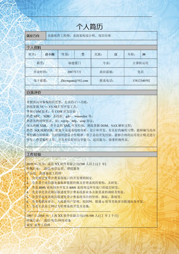 计算机运用专业高级人员简历模板 Word 简历模板预览图
