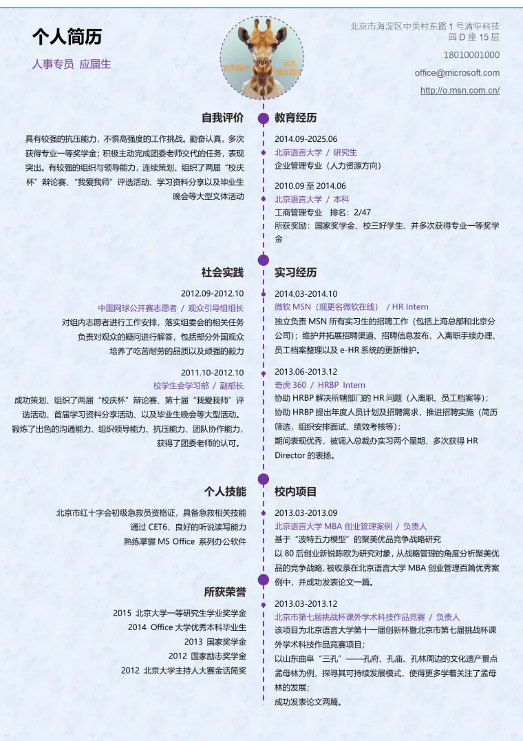对称简历模板 Word 简历模板预览图
