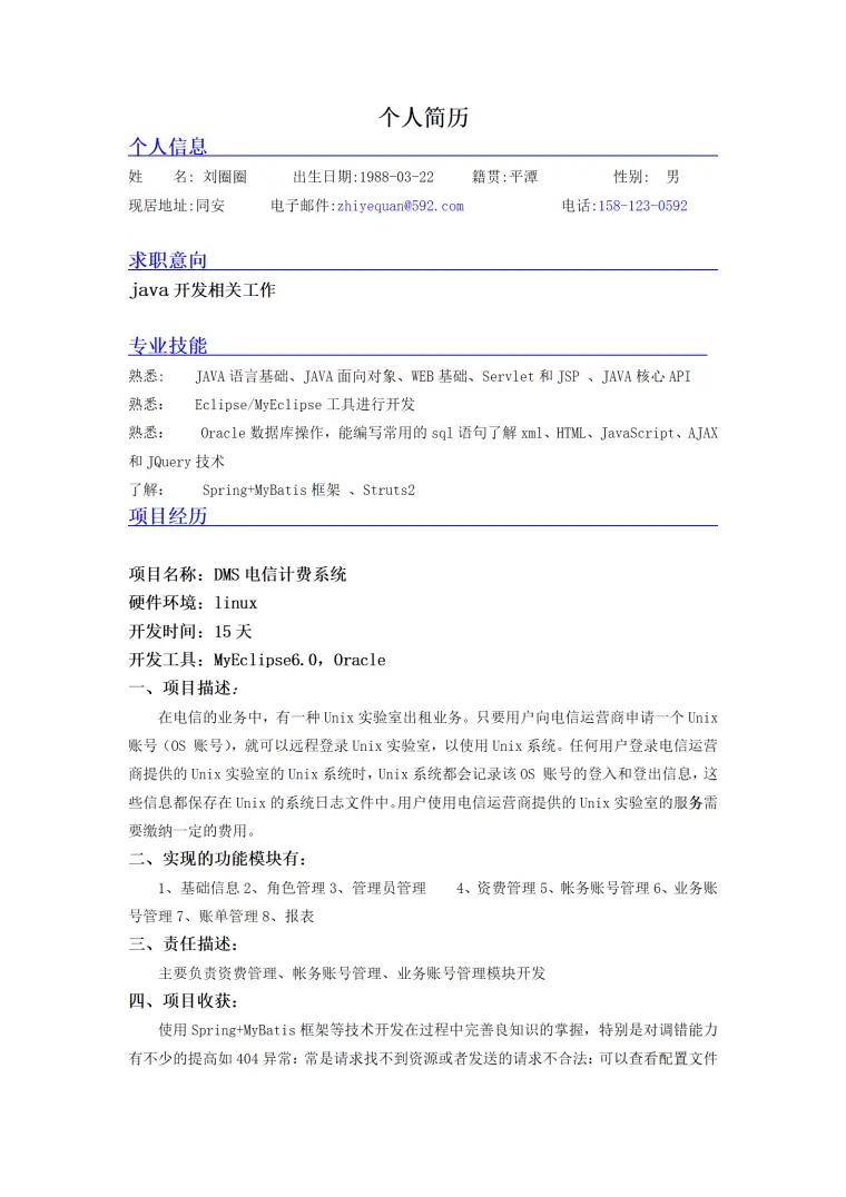 技术相关简历模板 Word 简历模板预览图