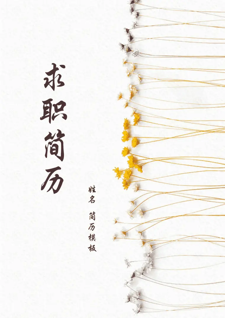 求职简历免费套装 Word 简历模板预览图